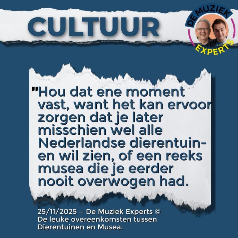 cultuur – 25/11/2025